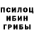 Псилоцибиновые грибы Cubensis nSkiLL