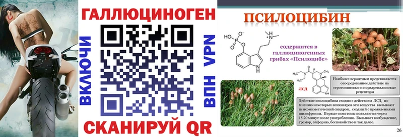 даркнет сайт  Приволжск  Псилоцибиновые грибы мухоморы 